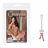 ����� �� ������� ���� Cleopatra Clit-Pearl Red 2621-11CDSE 
�������� ��������� ��� ������� ��� � ���������� �� �������  �������.