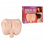   WENDY WILLIAMS  - 5350-01 BX DJ 
 -        -.