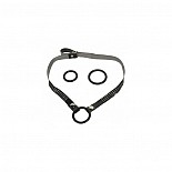     Bound By Diamonds Open Ring 2656-55BXSE 
<br>: <b>California Exotic Novelties, </b><br/>
