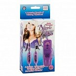 <strong>Вибростимулятор для сосков Nipple Teasers 2597-10BXSE</strong> <br />
Вибростимулятор для сосков пурпурного цвета. <div class="charTableblock"> </div> Вибростимулятор для сосков Nipple Teasers 2597-10BXSE
Вибростимулятор для сосков пурпурного цвета.