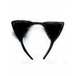     02698OS 
<br>: <b>Le Frivole Costumes</b><br/>