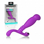  Nexus Glide Purple 
Glide       Nexus.