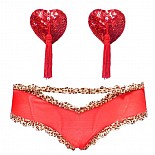 :  -           
:  -          