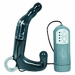       PLEASURE WAND 
 - 12 .