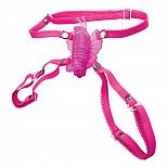    Micro Wireless Venus 
 -  , , .