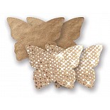   - 
 : 2  , 2  -, 4    .