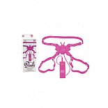     BUTTERFLY LOVER    
  -  ,     ,   .
