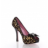 KITTY, : 13 , 40 
      ,    .