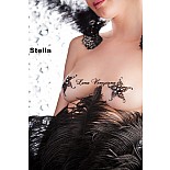 ��������� �� ����� Stella Marina 
