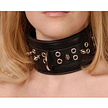 <strong>Ошейник кожаный черный шириной 65мм с шипами длиной 12мм 3105-1</strong> <br />
Изготовлен из натуральной кожи с велюровой подкладкой. <div class="charTableblock"><div><span>Материал</span>: кожа</div><div><span>Цвет</span>: черный</div></div> Ошейник кожаный черный шириной 65мм с шипами длиной 12мм 3105-1 
Изготовлен из натуральной кожи с велюровой подкладкой.