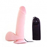    BW-008017AR 
<br>: <b>Baile</b><br/>