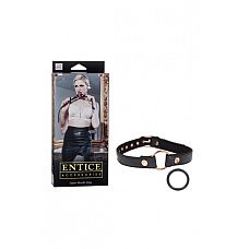     Entice Open Mouth Gag  
      Open Mouth Gag   Entice.    2  -   .     . : 61 ; : PVC/MTL; : California Exotic Novelties.