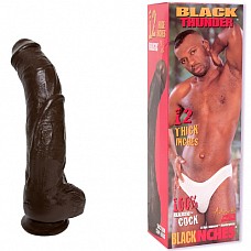 - BLACK THUNDER 8180-01 BX DJ 
 -  Black Thunder.