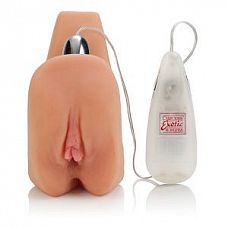 <strong>Мастурбатор Futurotic Honey Pot</strong> <br />
Компактный мастурбатор телесного цвета в виде вагина и ануса с вибрацией.<div class="charTableblock"> </div> Мастурбатор Futurotic Honey Pot
Компактный мастурбатор телесного цвета в виде вагина и ануса с вибрацией.