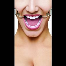    Hook Gag 
           .
