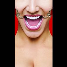    Hook Gag 
           .