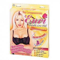  - Envi   3   
 - Envi   3  