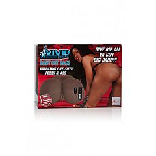   Vivid Raw Baby Got Back    
  Vivid Raw Baby Got Back    - ,  .