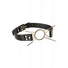     GOLD DELUXE SPIDER GAG 
        .
