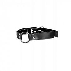 -  O-Ring Gag  
     ,   ,   ,       .