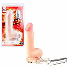    Beginner Tool - 12 . 
   .