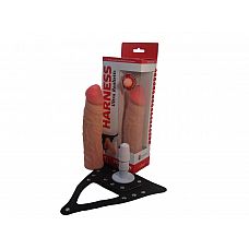   Harness:   - - 20 . 
   ,        .