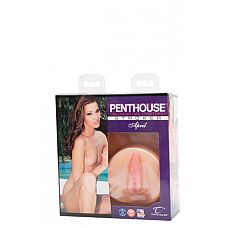 <strong>Мастурбатор вагина Penthouse® Calendar Girl - April - Cindy телесный</strong> <br />
Мастурбатор вагина Penthouse® Calendar Girl - April - Cindy из коллекции "Penthouse" - " Календарь девушек страсти".<div class="charTableblock"> </div> Мастурбатор вагина Penthouse® Calendar Girl - April - Cindy телесный
Мастурбатор вагина Penthouse® Calendar Girl - April - Cindy из коллекции "Penthouse" - " Календарь девушек страсти".