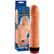 �������������-��������� � ������� �������� - 19 ��. 
�������������-��������� � ������� ��������.