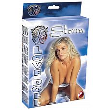   Storm 
     -       .