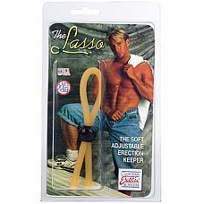    LASSO 
   LASSO          .