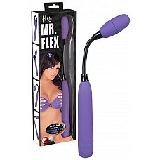     Mr.Flex 
             -  ,   ,    Mr.