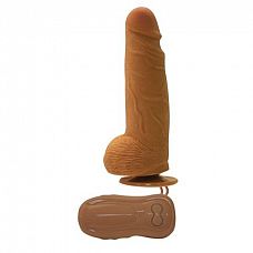   Average Joe The Plumber - 17 . 
             .