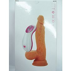 -      - 17 . 
       .