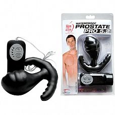    PRO 5.2 
      .