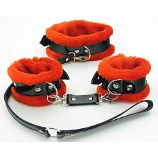    BDSM Light 
,         .