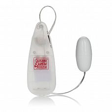     Pocket Exotics Vibrating Bullet 
 Pocket Exotics Vibrating Bullet       .