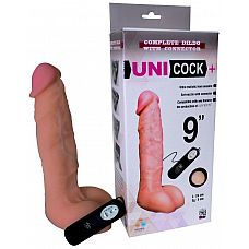    UNICOCK 9    - 24 . 
 ,   .