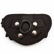        
      O-ring  .