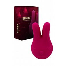  Bunny 
  Bunny   ,       ,      .