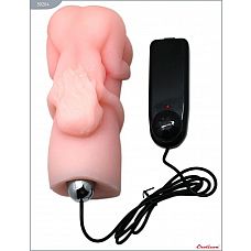        
    ,  , EROTICON           ,   ,   .