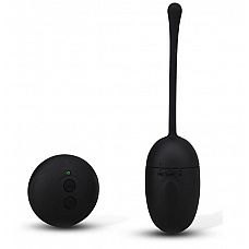 ׸    REMOTE CONTROL EGG BLACK 
׸   .