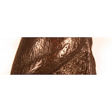  -         
      .  20 ,  4 .    . 