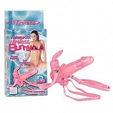       BUNNY 0574-04 BX SE 
-    ,    .