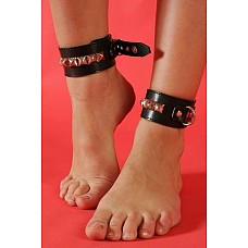 <strong>Поножи узкие</strong> <br />
Поножи узкие на замшевой подкладке с кольцами.Прилагаются 2 карабина. Размер универсальный.<div class="charTableblock"><div><span>Материал</span>: кожа</div><div><span>Производитель</span>: Подиум, Россия</div></div> Поножи узкие 
Поножи узкие на замшевой подкладке с кольцами.Прилагаются 2 карабина. Размер универсальный.