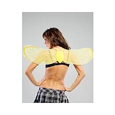    02444 SM 
<br>: <b>Le Frivole Costumes</b><br/>