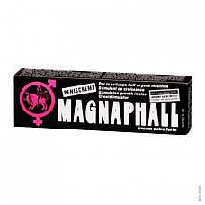   MAGNAPHALL 
  .