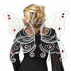 ������ ������� 
׸���� ������ ������� ��� ����������� ��������.