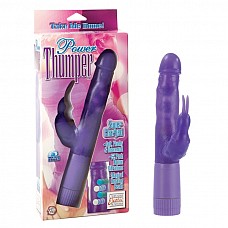  - Power Thumper 0777-20CDSE 
            .