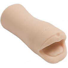 - PALM PAL  
   ,     ,    !   ,            . <br><br>
,         ,  !             .

