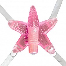   LI`L STARFISH 
     7         ,    .        ,        - .      "",   .
